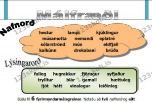 Forskoðunarmynd fyrir Fyrirmyndarmálsgreinar með nafnorðum og lýsingarorðum