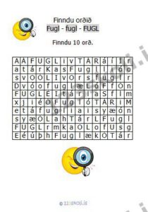 Forskoðunarmynd fyrir 6.  F – U – G – ýmis verkefni