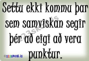 Forskoðunarmynd fyrir Samviskan