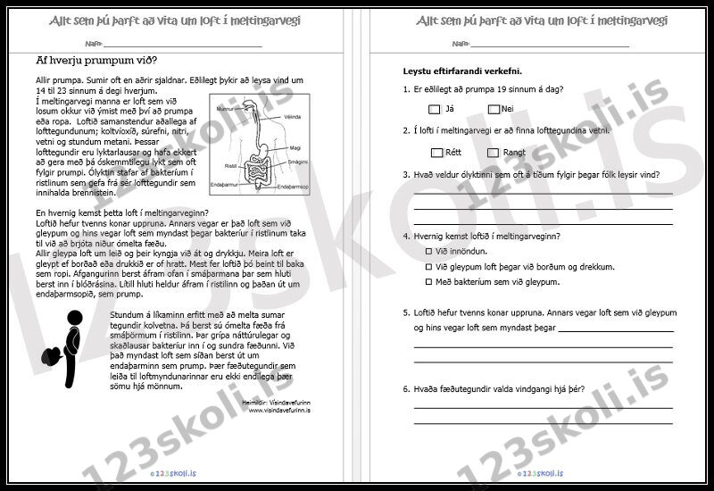 Forskoðunarmynd fyrir Allt um prump – Lesskilningur