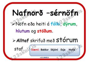 Forskoðunarmynd fyrir Amboð í málfræði – Nafnorð