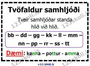 Forskoðunarmynd fyrir Reglur – Tvöfaldur samhljóði
