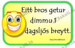 Forskoðunarmynd fyrir Eitt bros getur dimmu í dagsljós breytt