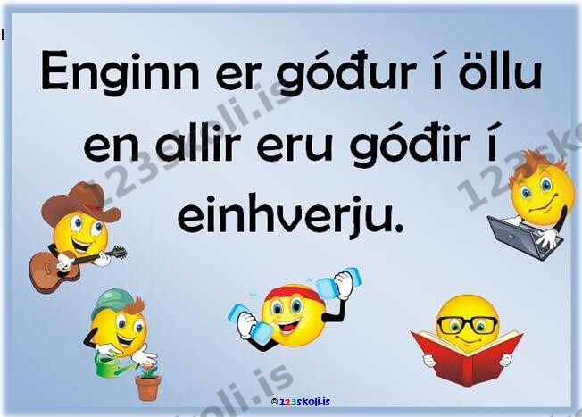 Forskoðunarmynd fyrir Enginn er góður í öllu en allir eru góðir í einhverju.