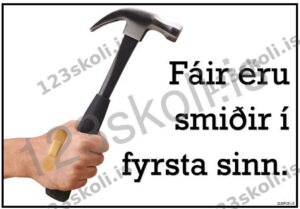 Forskoðunarmynd fyrir Fáir eru smiðir í fyrsta sinn