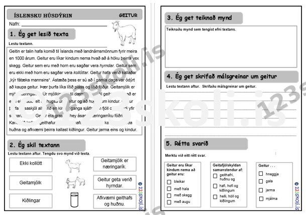 Forskoðunarmynd fyrir Geitur – lesskilningur