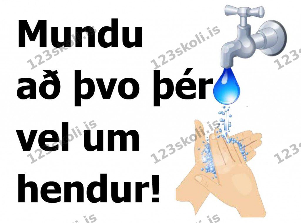 Forskoðunarmynd fyrir Handþvottur
