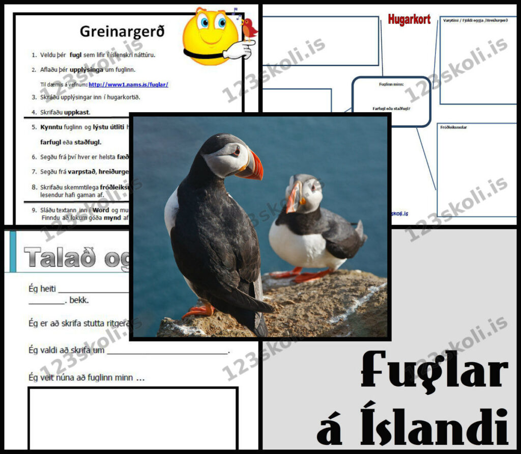 Forskoðunarmynd fyrir Fuglar á Íslandi