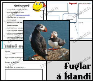 Forskoðunarmynd fyrir Fuglar á Íslandi