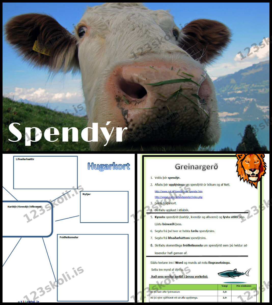 Spendýr