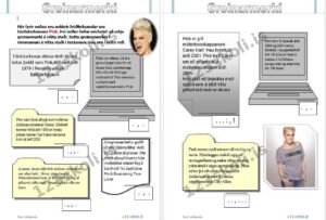 Forskoðunarmynd fyrir Greinarmerkjaæfing – Pink