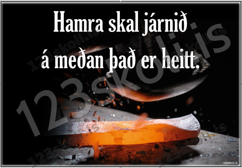 Forskoðunarmynd fyrir Hamra skal járnið …