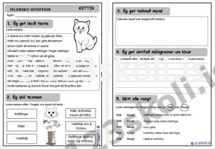 Forskoðunarmynd fyrir Kettir – lesskilningur
