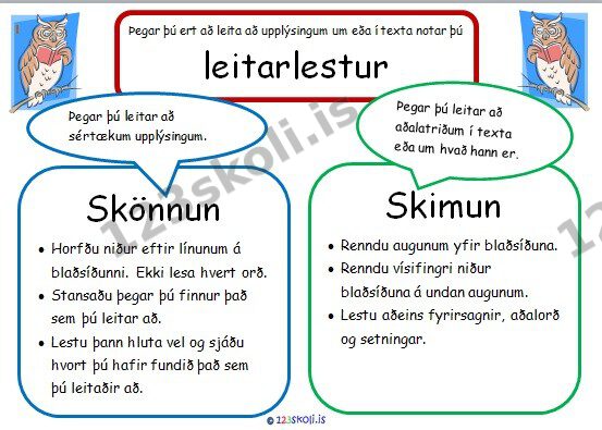 Forskoðunarmynd fyrir Leitarlestur