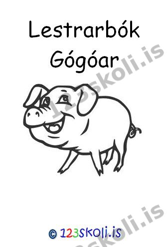 Forskoðunarmynd fyrir Lestrarbók Gógóar