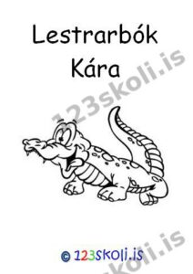 Forskoðunarmynd fyrir Lestrarbók Kára