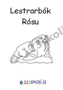 Forskoðunarmynd fyrir Lestrarbók Rósu