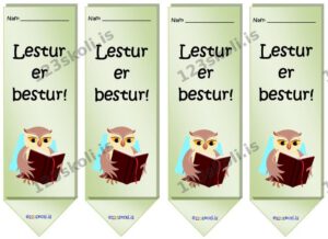 Forskoðunarmynd fyrir Lestur er bestur!