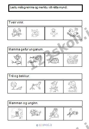 Forskoðunarmynd fyrir Málsgreinar við mynd – FUGLAR 2
