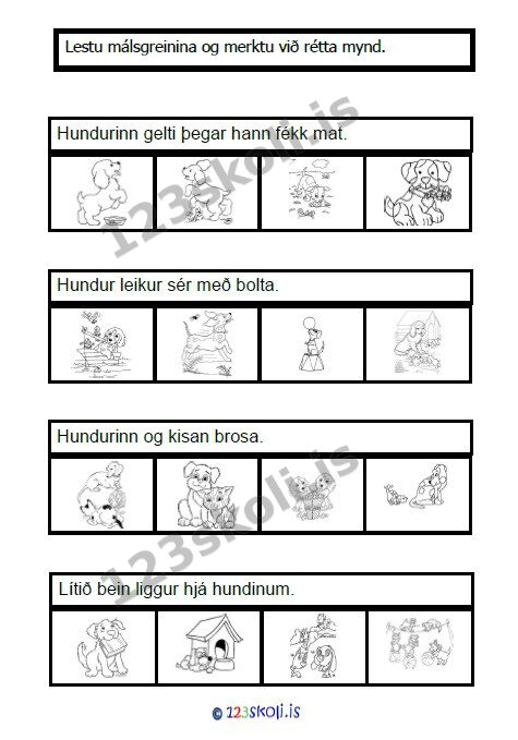 Forskoðunarmynd fyrir Málsgreinar við mynd – HUNDAR