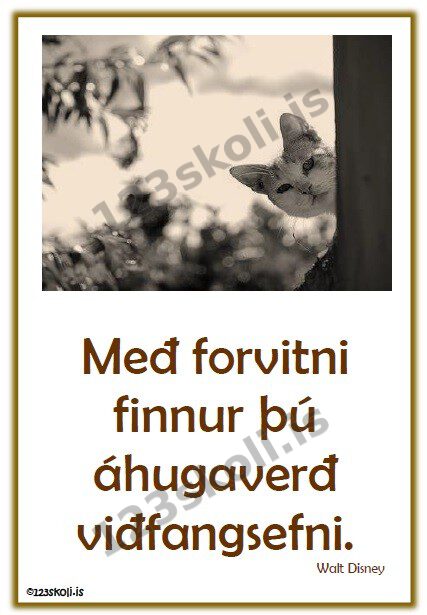 Forskoðunarmynd fyrir Með forvitni . . .