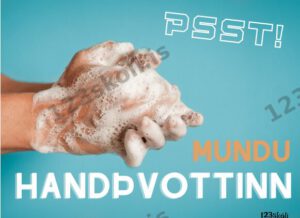 Forskoðunarmynd fyrir Mundu handþvottinn!