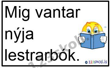 Forskoðunarmynd fyrir Ný lestrarbók