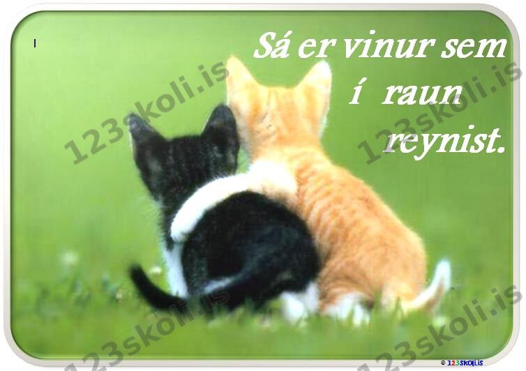 Forskoðunarmynd fyrir Sá er vinur sem í raun reynist