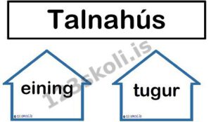 Forskoðunarmynd fyrir Talnahús