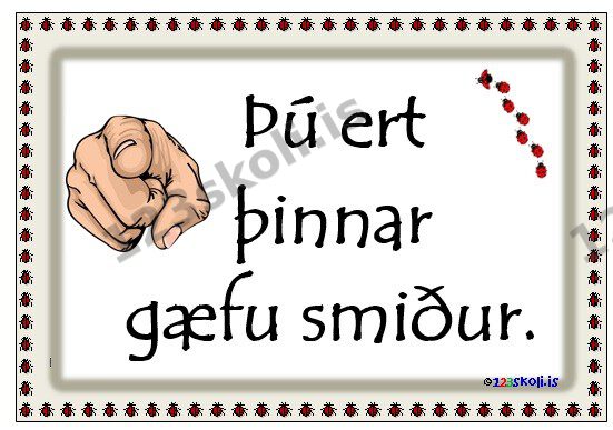 Forskoðunarmynd fyrir Þú ert þinnar gæfu smiður