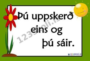 Forskoðunarmynd fyrir Þú uppskerð eins og þú sáir